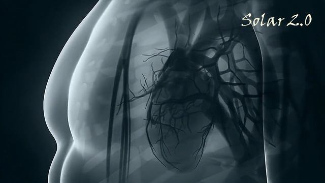 Начало нового космического цикла света, обновления и свободы!