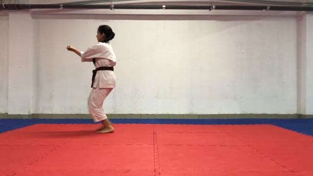 Экзаменационная программа 9 КЮ (белый пояс). Ката + Кихон. смотреть онлайн