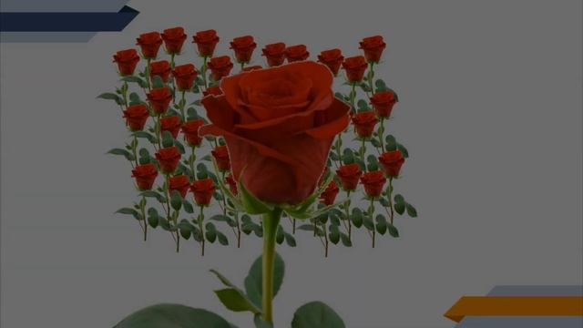 Тема 19. Оптические приборы смотреть онлайн