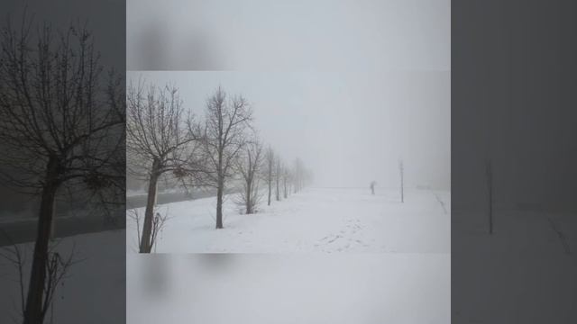 Туман 7февраля 2018г Харьков смотреть онлайн