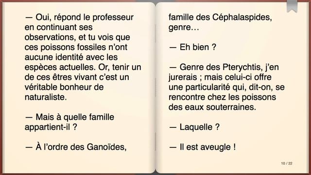 Livre audio : Voyage au Centre de la Terre, Chapitre 32 смотреть онлайн