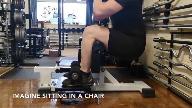 How to do the Sissy Squat | Build your Quads quickly | Get bigger legs fast смотреть онлайн