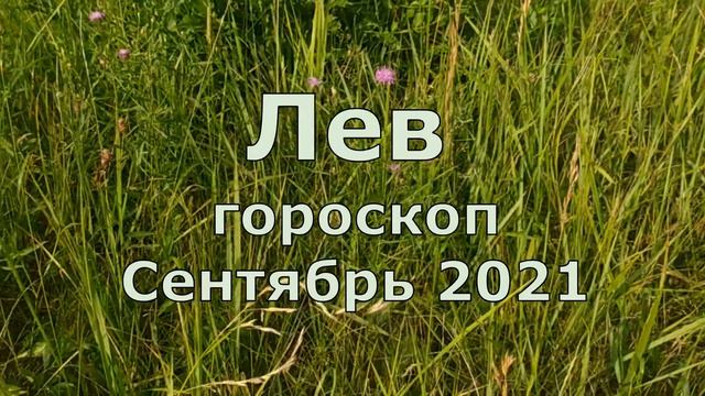 Лев Сентябрь 2021,астрологический прогноз смотреть онлайн