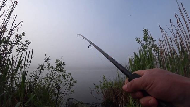 ТРОФЕЙНАЯ РЫБАЛКА НА УТРЕННЕЙ ЗОРЬКЕ.ПРИЕХАЛ НА РАЗВЕДКУ ПОПАЛ НА КЛЁВ.ЛОВЛЯ ЛЕЩА НА ЛЕСНОМ ОЗЕРЕ. смотреть онлайн