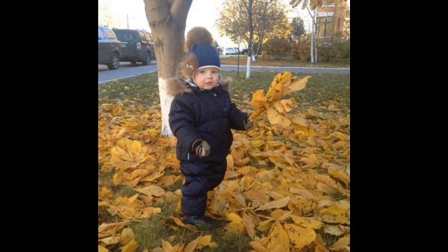 Дмитрий Балахнин Павлуша в гостях у Бабы Яги (Посвящения) смотреть онлайн