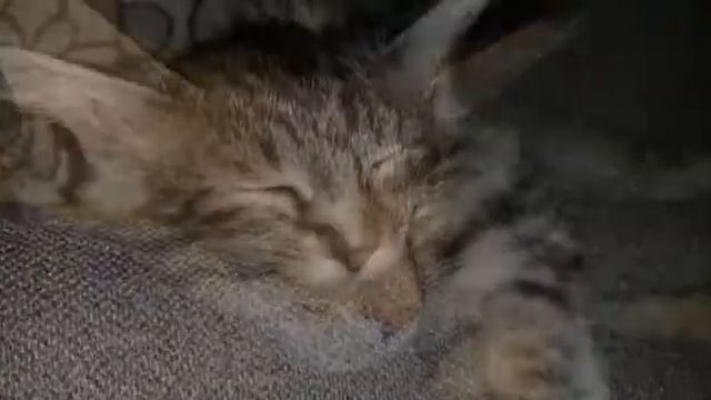 Ми-ми😆😆 Ребят скоро будет классные видео смотреть онлайн