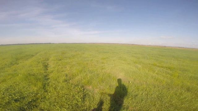 выжлы круче курцхааров смотреть онлайн