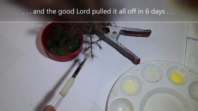 HO Scale Model Tree | The Fruit Tree Final