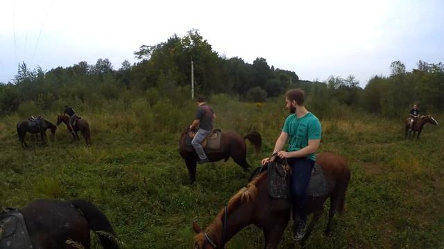 Прогулка на лошадях!!! Еще и табун загоняли ))) смотреть онлайн