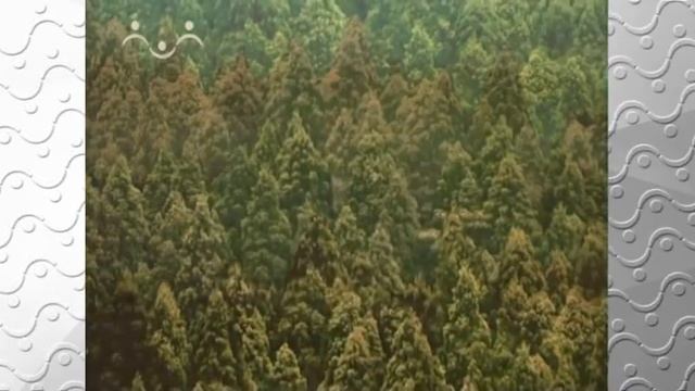 Закон Божий. Заповеди Блаженства 1 смотреть онлайн
