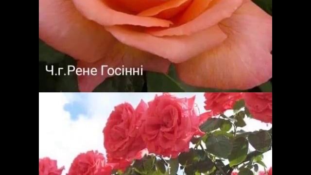 Вам букет цветов в подарок смотреть онлайн