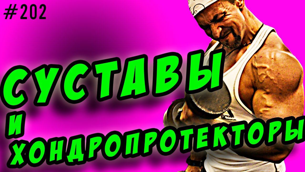 хондроитин, глюкозамин msm | суставы и хондропротекторы отзывы смотреть онлайн