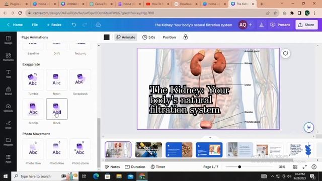 How to make a presentation in Canva | Canva Magic Design | 2023 #canva #presentation смотреть онлайн