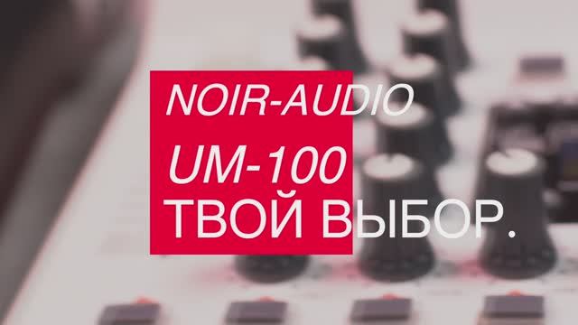 Караоке система NOIR-audio UM-100 с двумя беспроводными микрофонами и микшером с Bluetooth, USB