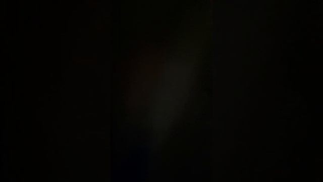 играем с кошкой прятки смотреть онлайн