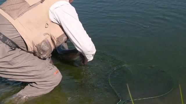 Snowbee Folding Game Net, fly fishing for trout with Simon Kidd смотреть онлайн