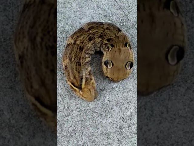 14 августа 2022 г. смотреть онлайн