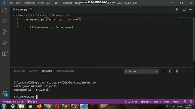 Input Function in Python | Priyansh jain | python tutorial for begginer | run time user input | смотреть онлайн