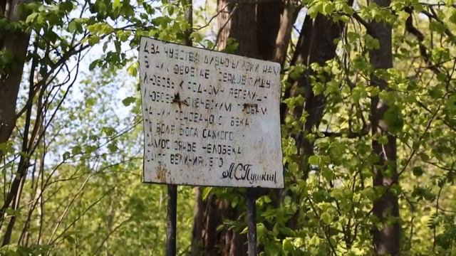Внучка Пушкина - Мезенцова В.А., Рыхлово, Сережань смотреть онлайн
