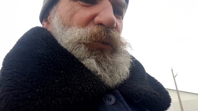 ?Рептилоиды очень добрые. смотреть онлайн