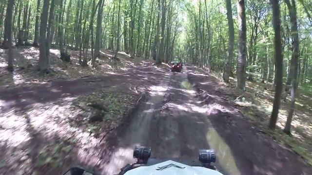 квадроцикл brp can-am 800 max смотреть онлайн