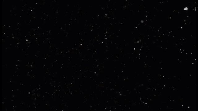 Armand Amar -Whales смотреть онлайн