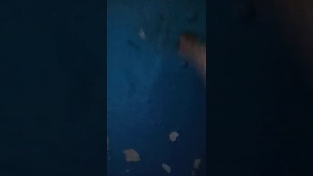 Лифты домофоны испытание смотреть онлайн
