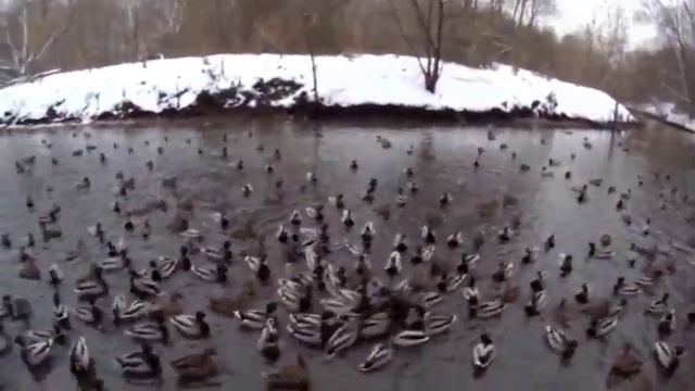 Парк Покровское Стрешнево, г Москва 2017 смотреть онлайн