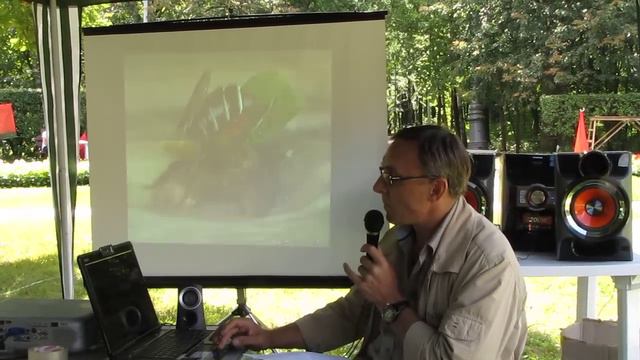 День Мухи, выступление Владимира Аникеева смотреть онлайн