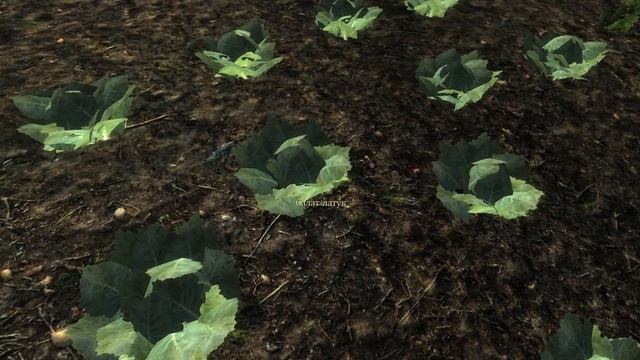 Геймплей Oblivion Association:Era of Change 1.05 смотреть онлайн