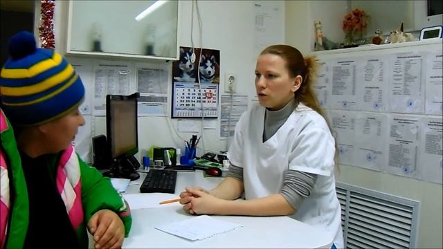Как правильно повязать суку кавказской овчарки (актуально для всех пород). смотреть онлайн