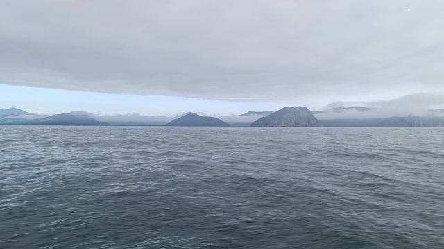 Бухта Русская, остров Старичков, Три брата, Камчатка 2024 смотреть онлайн