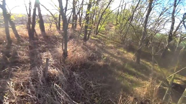 Открытие охоты на ЗАЙЦА. смотреть онлайн