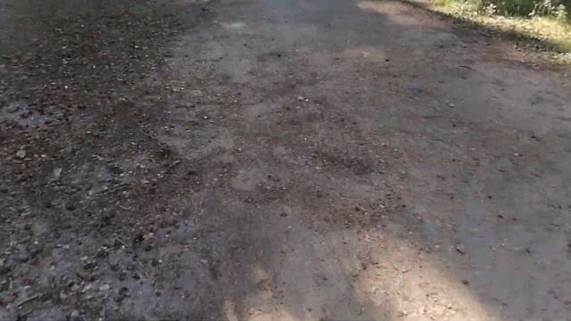 Сосновый Бор г. Конаково Тверской области. 10.09.2022. смотреть онлайн