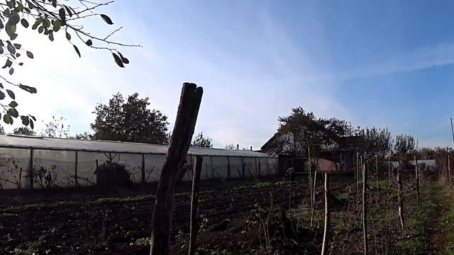 ЖИЗНЬ СТАНИЧНИКОВ//ВО САДУ ЛИ В ОГОРОДЕ// ПРИШЕЛ ЖЕНИХ))) смотреть онлайн