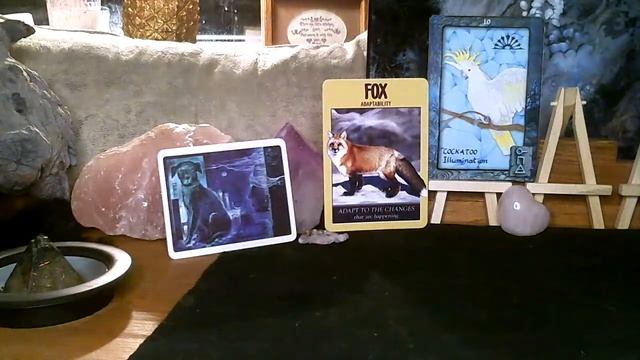Power Animal Spirit Guide Oracle Reading... Collective Whole!!! WOW!!! смотреть онлайн