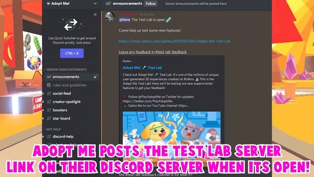 NEW *CONFIRMED* TASKS UPDATE! GET RICH FAST TASK BOARD RELEASE! +CHRISTMAS PETS! ADOPT ME ROBLOX смотреть онлайн