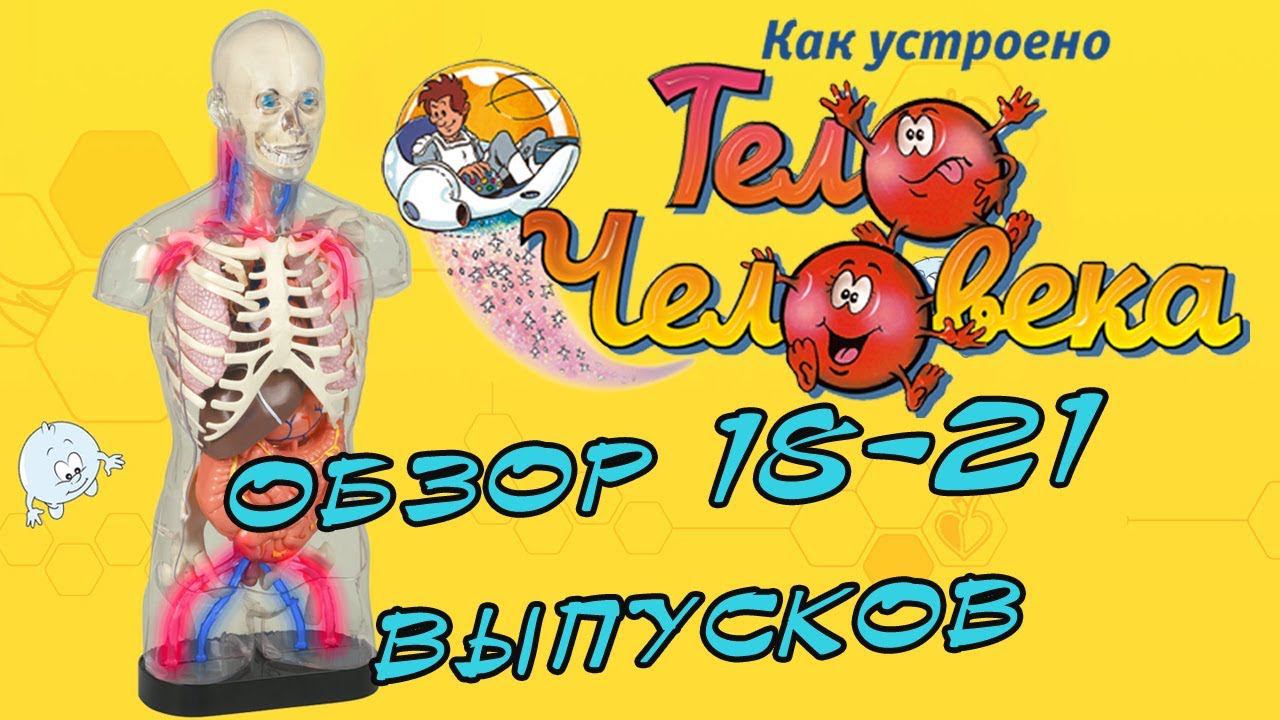 Как устроено тело человека | DeAgostini | 18-21 выпуски смотреть онлайн