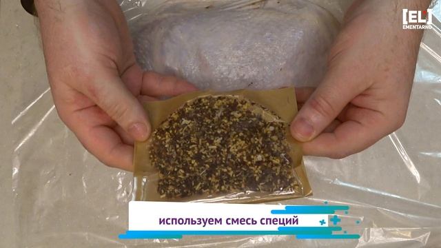 Домашние Животные и Их Уход