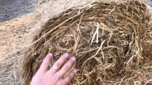 Самоходный пресс подборщик вальцовый Star JRB0800 N 1134