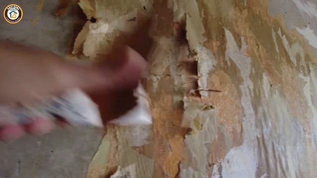 Чудо средство для снятия обоев смотреть онлайн