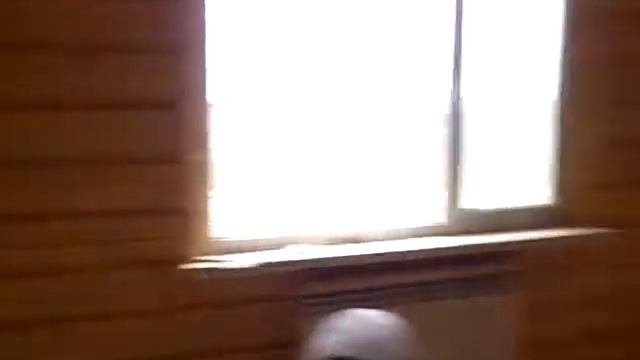 изготовление деревянного потолочного плинтуса смотреть онлайн