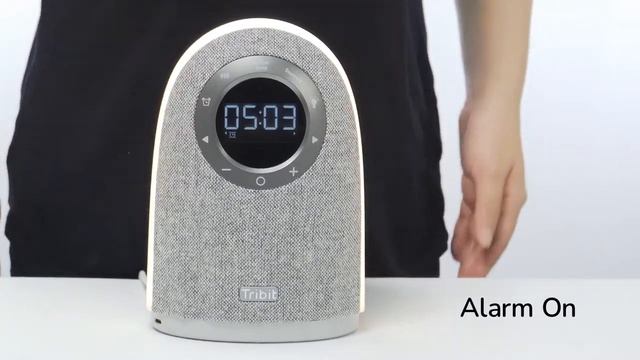 Tribit Home: How to turn the Alarm On/Off? смотреть онлайн