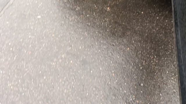 Проверка Хонда/ Honda Civic 4D 2008 (500.000₽)