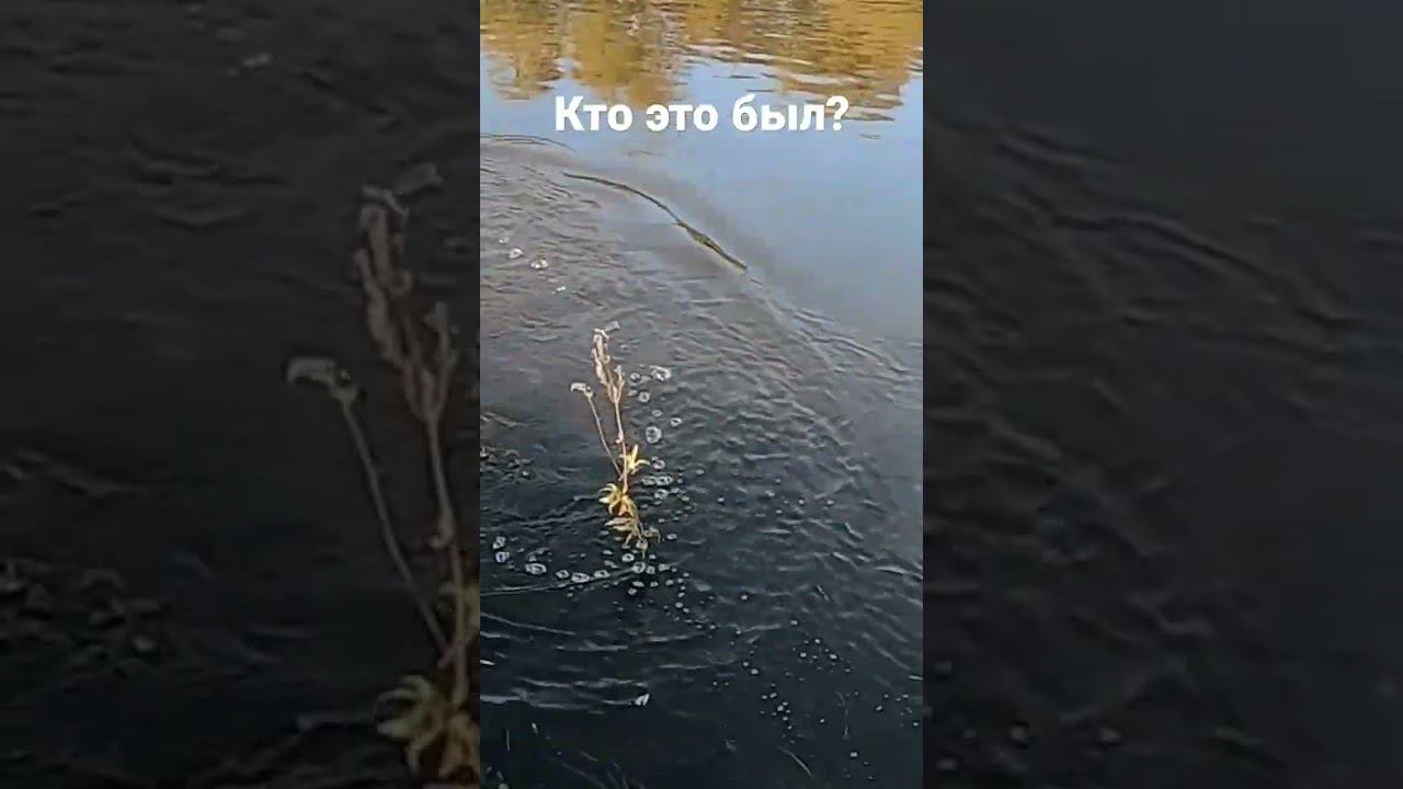 Кто это был? смотреть онлайн