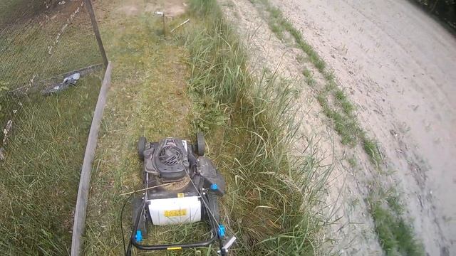 KOSIARKA MACALISTER KONTRA WIELKA TRAWA