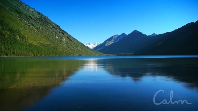 Daily Calm 10 Minute Mindfulness Meditation Be Present смотреть онлайн