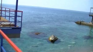 Пляж санатория  Белоруссия крым Мисхор Киреиз