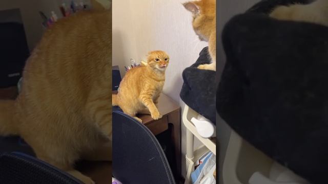 прикол смотреть онлайн