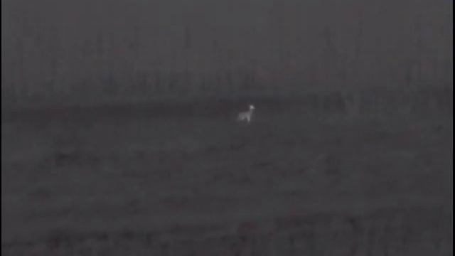 video 022 смотреть онлайн